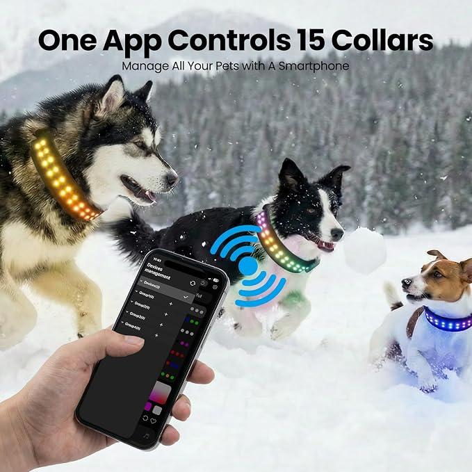 UNISE Customizable LED Dog Collar, RGB Color Changing Light Up Dog Collar