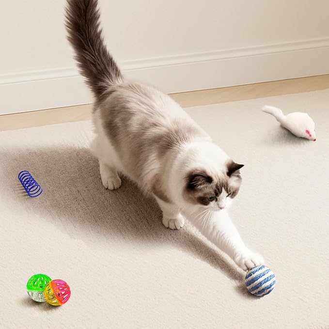 Cat Toys for Indoor Cats, 34 Pack Interactive Cat Toy Set for Kitten