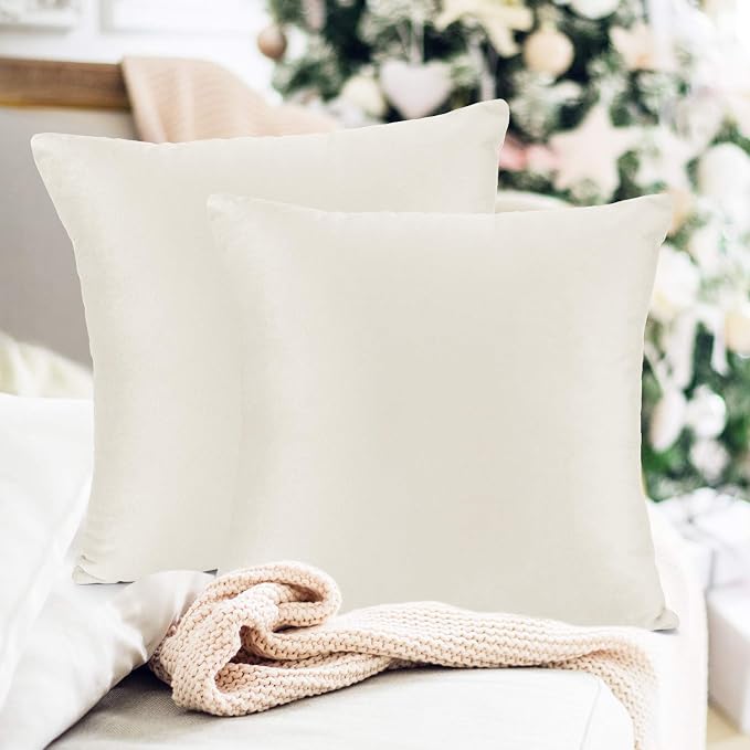 Throw Pillow Inserts Pack of 2 with Velvet Soft Solid Decorative Square Throw Pillow Covers Set for Sofa Couch Car Bedroom, 24X24 Throw Pillows Inserts with 22x22 Washable Cushion Covers, Off White