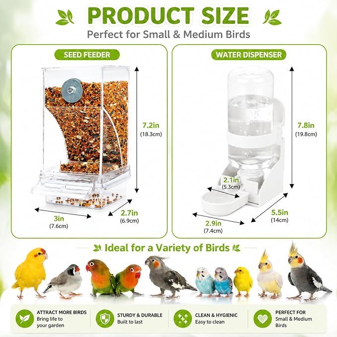 Rypet No-Mess Bird Feeder and Water Dispenser Set for Small Birds | Automatic Bird Feeder, Transparent Acrylic Food Container, Helps Reduce Seed Scatter, for Parakeet Cockatiel Parrot Canary