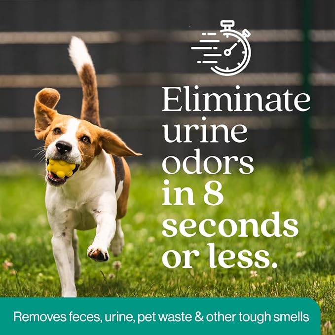 Eco Strong Outdoor Odor Eliminator Outside Dog Urine Enzyme Cleaner Powerful Pet, Cat, Animal Scent Deodorizer | Professional Strength for Yard, Turf, Kennels, Patios, Decks (128 OZ)