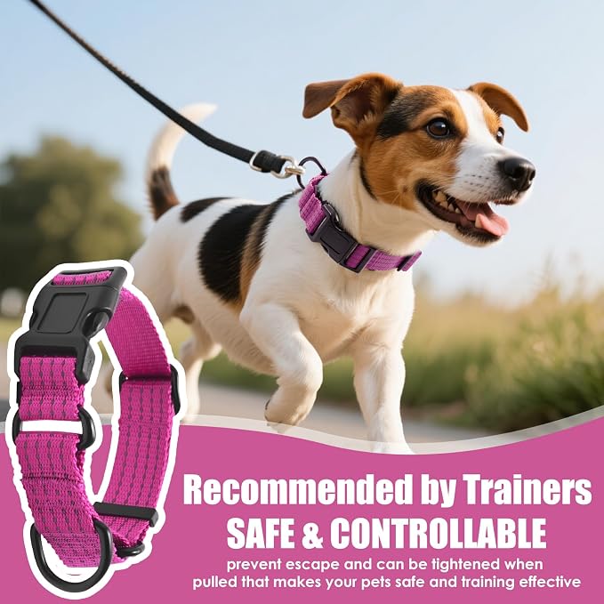Martingale Dog Collar, Reflective No Pull with Buckle, Hot Pink, S