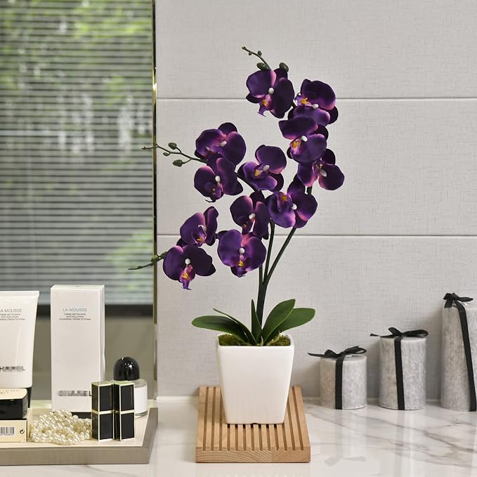 15" Silk Phalaenopsis Orchid in Square Pot, Dark Purple Flower Arrangements | Lifelike Faux Potted Blooms with Moss in a Ceramic Planter. Looks Real, Zero Upkeep, Ideal Centerpiece for Any Table