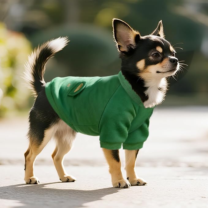 Green Cute Dog Sweater Soft Winter Clothes for Small Dogs, XL | Classic Green Knit Pullover, Fall Winter Outfit, Elastic Cuffs, Holiday Party Matching, Machine Washable Sweatshirt for Pets