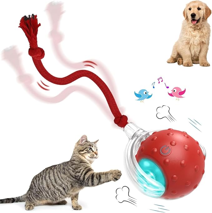 Tiny Fetch Motion Dog Toy,Interactive Cat Toy Rolling Ball