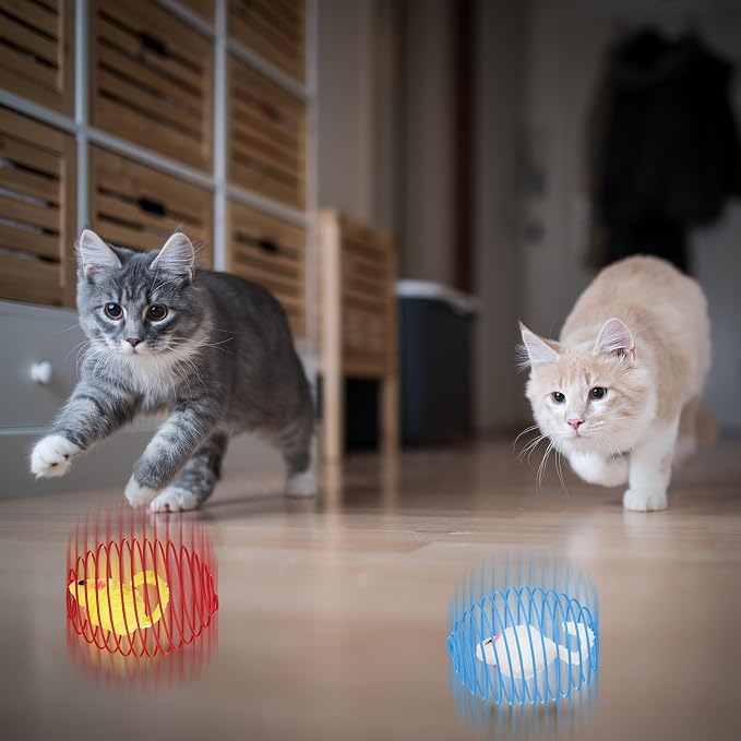 Jecery 5 Pcs Cat Toys Spring,Mouse,Multicolor