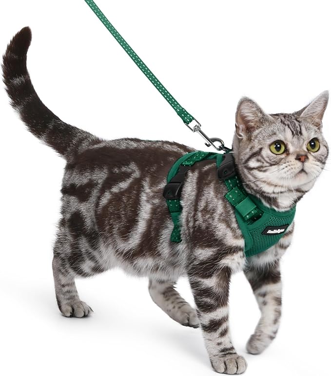 rabbitgoo Cat Harness and Leash, Easy-on with Neck Buckle, Dark Green