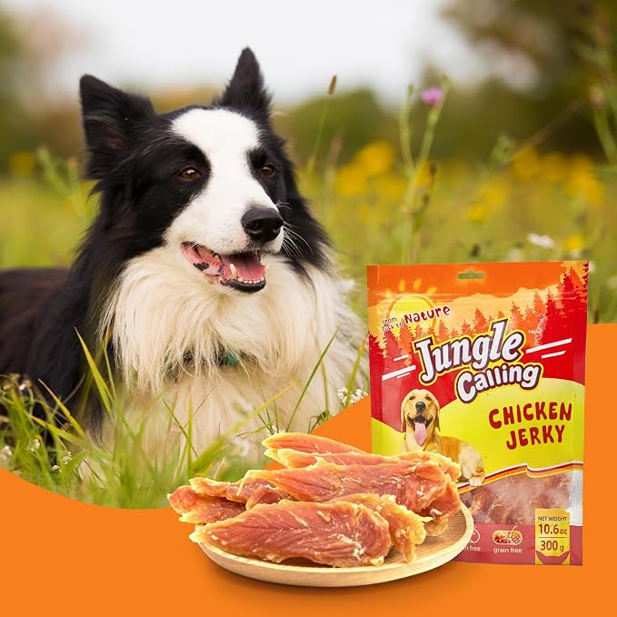 Jungle Calling Chicken Breast Jerky Dog Treats for Medium/Large Breeds | High Protein Chicken Jerky, Real Chicken Breast, Stomach-Friendly, Chewy for Teeth Cleaning, Ideal for Training, 10.6 Oz