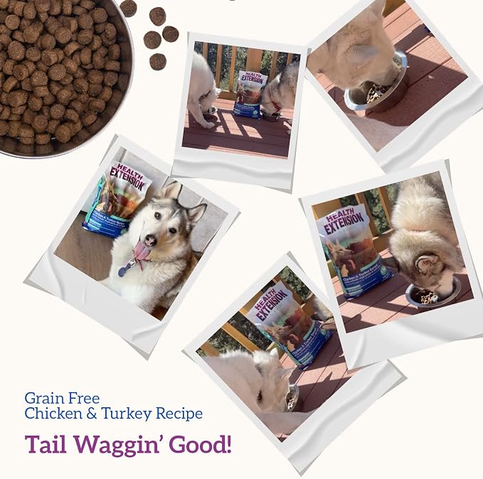 Health Extension Grain Free Chicken & Turkey Dry Dog Food - 30+ Superfoods and Probiotics for All Life Stages (23.5 lb)
