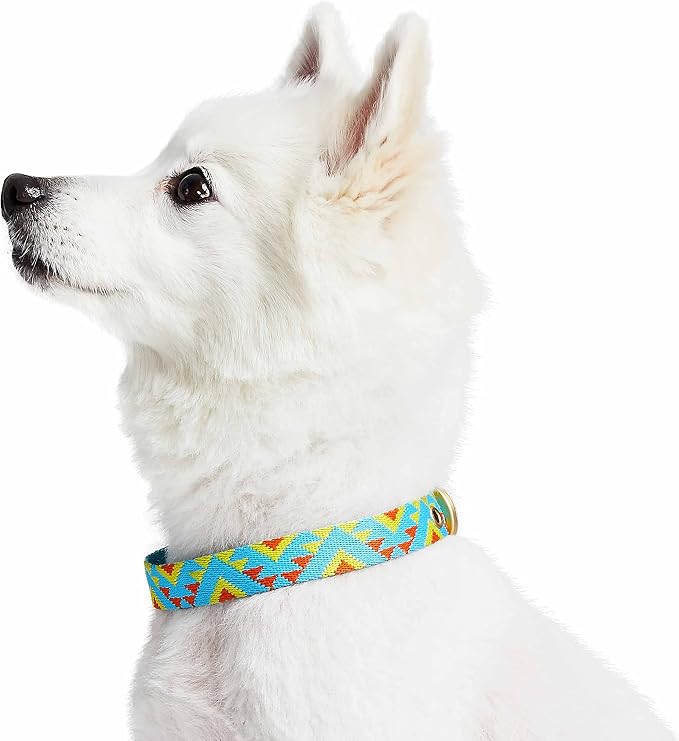 Blueberry Pet Southwestern Tribal Triangles River Blue Adjustable Dog Collar with Metal Buckle, Neck 17-20.5", for Large Breed