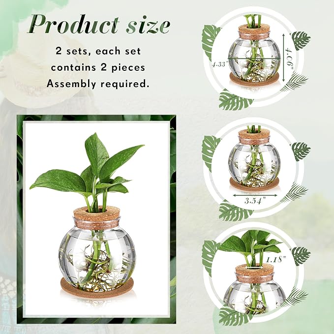 2 Packs Propagation Vases for Plants Plastic Plant Propagation Station with Hole Lid and Cork Coasters Plant Growing in Water Hydroponic Home Office Table Decoration(Fish Bowl Style)
