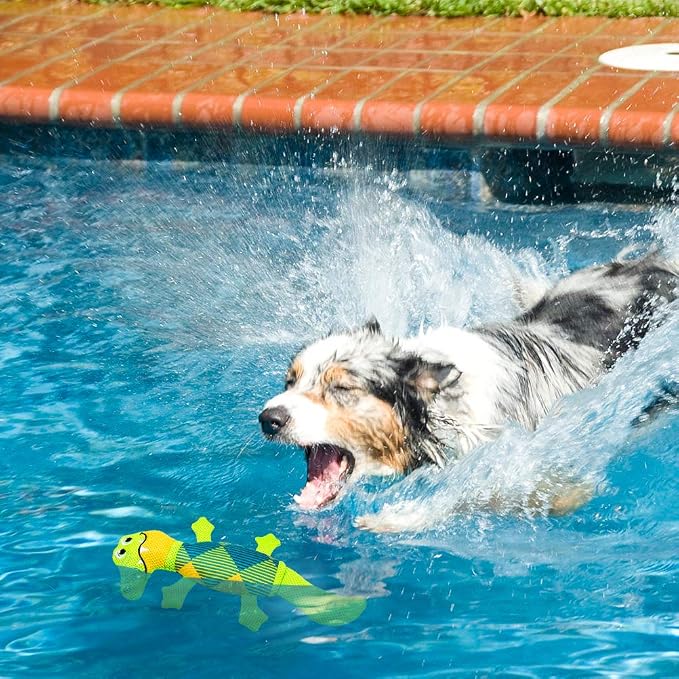 EXPAWLORER Floating Dog Toys Squeaky Toys - 2 Pack Dog Water Toys for Pool Fetch, Durable Oxford Fabric Pet Chew Toy Summer Outdoor Interactive Play, for Small Medium Breeds