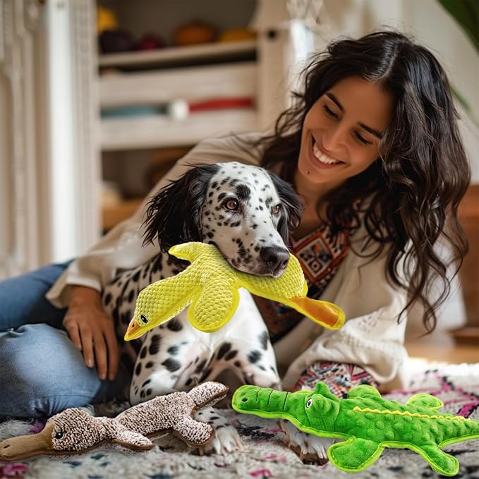 No Stuffing Dog Squeak Toys, 3 Pack Chew Toys for Small to Large Puppies | Durable Puppy Teething Toys, Interactive to Keep Pets Busy, Toss Fetch Tug Play, Best Birthday Gift