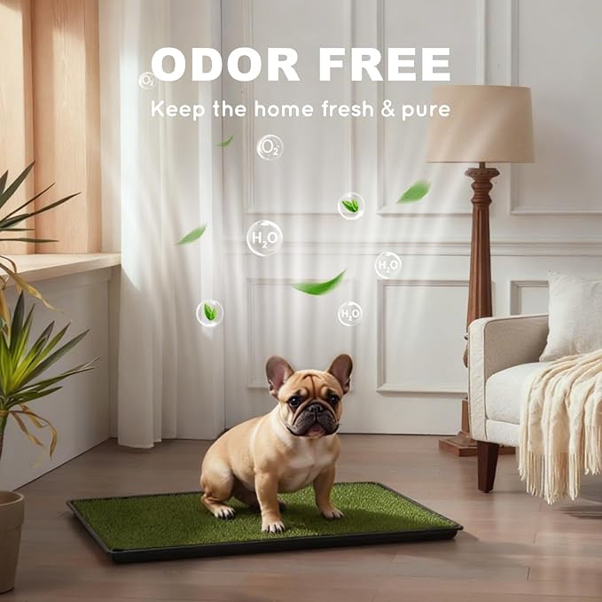 HQ4US Dog Grass Pad with Tray, Odor Free Grass Pee Pad for Dog Litter Box | Medium Dog Potty Tray with Grate, Artificial Grass Fast Drainage, Hemmed Edge, Realistic, Fake Grass for Indoor Balcony