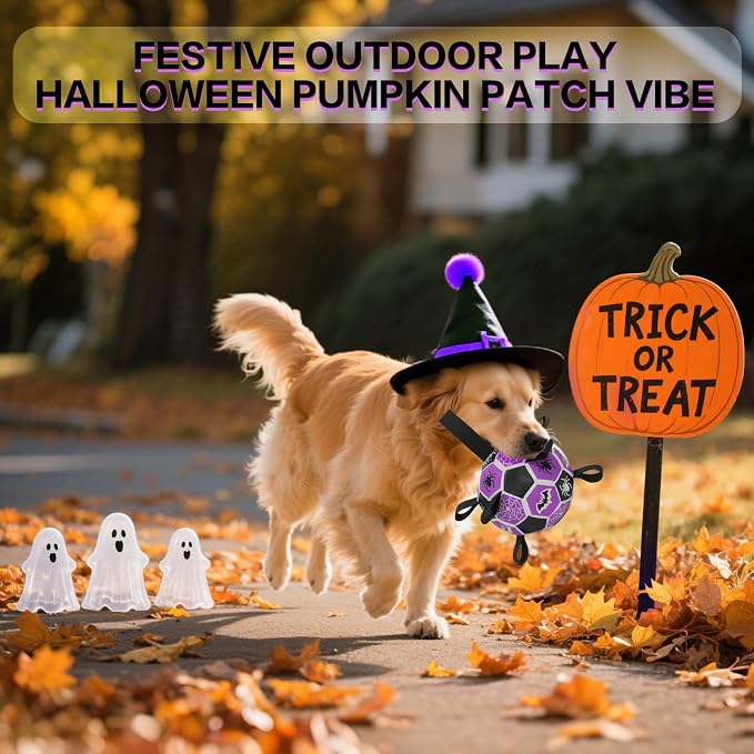 Dog Toys Balls, Dog Soccer Ball with Straps, Dog Birthday Gifts, Durable Balls for Small Medium Pet, Puppy Outdoor Toy, Pet Training Soccer Ball, World Cup Soccer (7.25 Inch) (Spider, Large)