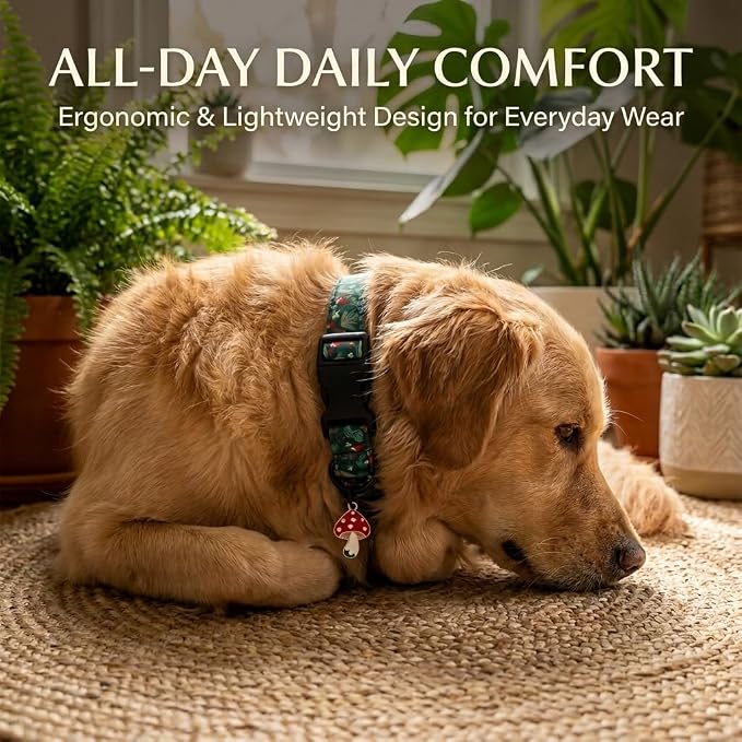 Fall Dog Collar, Mushroom Dog Collar for Medium Dogs, M