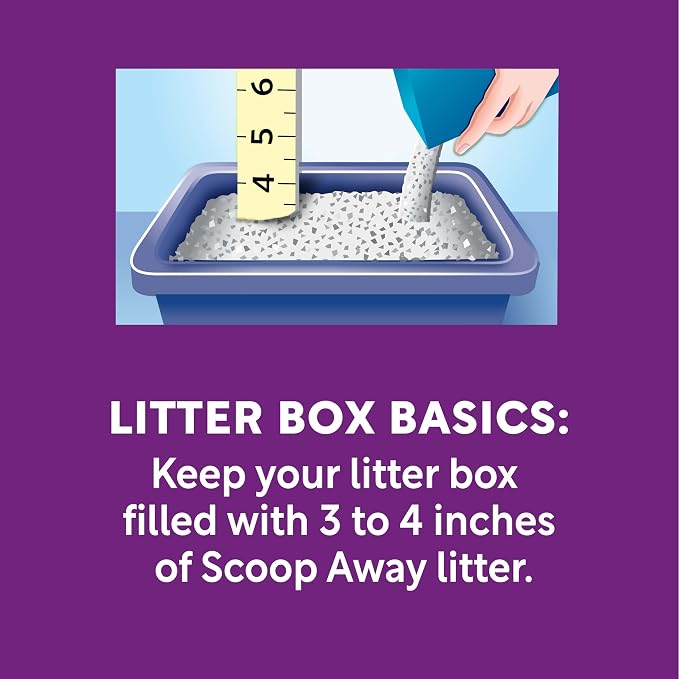Scoop Away Advanced Multi Cat Clumping Cat Litter, 18.5lb, 2Pk | Meadow Fresh Scent, Clumping Litter for Multiple Cats, Compatible with Most Automatic Litter Boxes