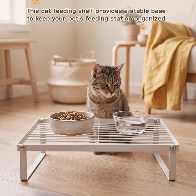 Elevated Cat Feeder Stand, 3 Inch Low Bowl Stand, 1 Pcs | Raises Pet Feeder for Small Breed & Kitten, Carbon Steel Cat Food Table for Most Bowls Automatic Feeders, 14.2 x 11.4 x 3 in