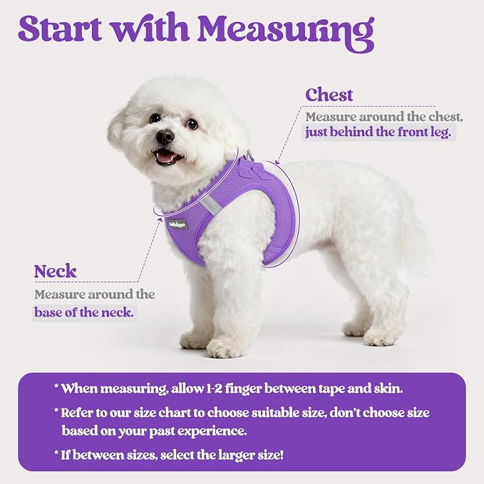 rabbitgoo Dog Harness Medium Sized and Leash Set, Step-in Puppy Pet Vest | Light, Soft, Breathable Air Mesh, Easy on and Remove with Hook & Loop, Secure Reflective for Walking, Purple XXL