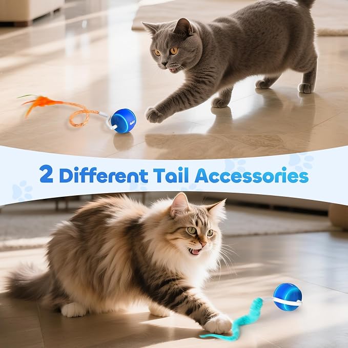 Interactive Cat Toy Ball for Indoor Cats with 3-Mode Touch Activated | Tangle-Free Tail, Rechargeable, 2 Tails, 6-8H Play Automatic Moving Cat Toy, Smart Rolling Ball for Indoor Cats to Chase Play