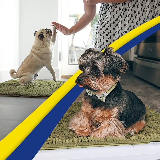 Muddy Mat® | Super Water Absorbent Door Mat Indoor, Microfiber Quick Dry Chenille Entryway Rug, Slip Resistant Front Door Mat, Indoor Mats for Entryway, Machine Washable Pet Rug, Sage 3ft x 3ft
