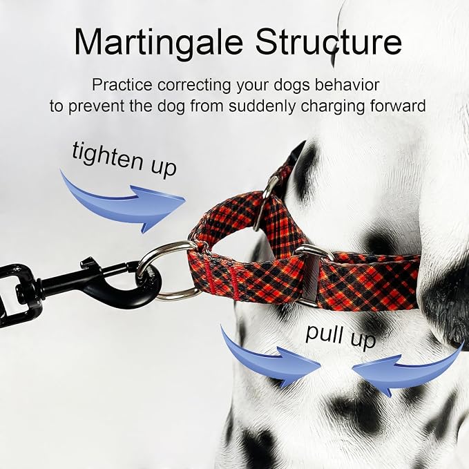 Christmas Martingale Collar for Dogs with Buckle, Red Plaid, M