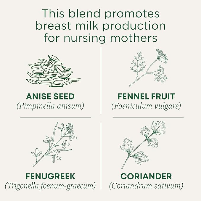 Traditional Medicinals Organic, Mother's Milk Tea - Supports Breastfeeding & Lactation with Fennel and Fenugreek - Kosher, Non-GMO, Caffeine-Free, Compostable - 48 Tea Bags