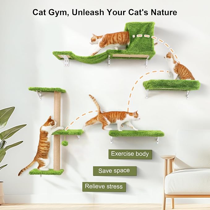 FUKUMARU Cat Wall Shelves, 4 in 1 Set, Green | Stable & Safe Cat Walls Furniture, Wooden Kitten Climbing Wall with Scratching Post for 16 Inch Drywall