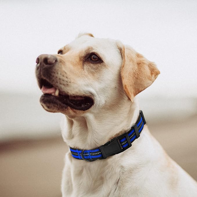 Mile High Life Reflective Dog Collar, Adjustable Lightweight Quick Release