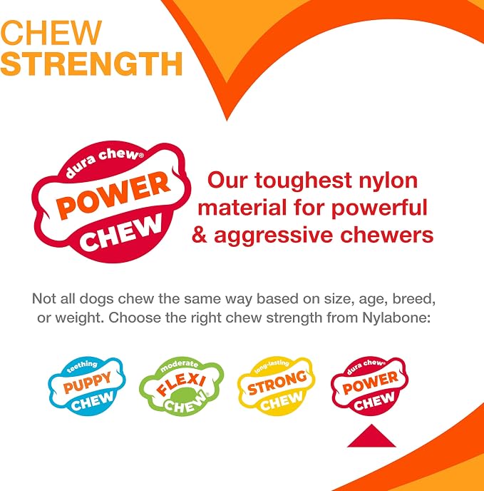 Nylabone Power Chew Knuckle Bone & Pop-In Dog Treat Toy, X-Small