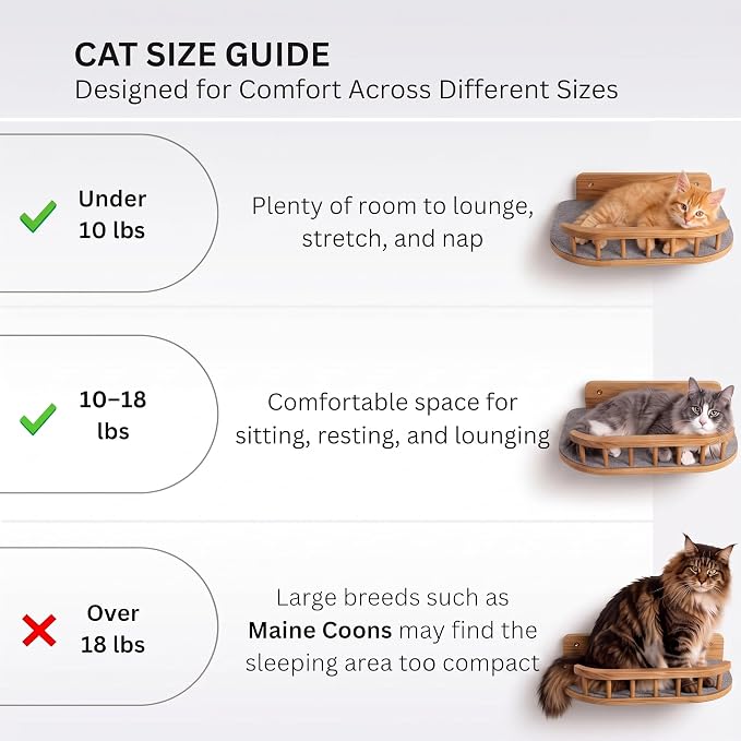 Cat Wall Shelves, Floating Bed with 3 Cat Wall Steps - Natural | Pre-Drilled Anchor Kit for Easy Mount, Cozy Spot for Climbing & Play, Indoor Cats up to 18 lbs, Solid FSC Birch Wood