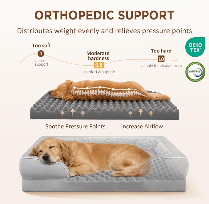 Comfort Expression Waterproof Orthopedic Dog Beds for Large Sized Dog | Supportive Egg Crate Foam Large Pet Bed with Removable Bolsters, Dog Couch with Washable Cover & Non-Slip Bottom, 38x25 Inch