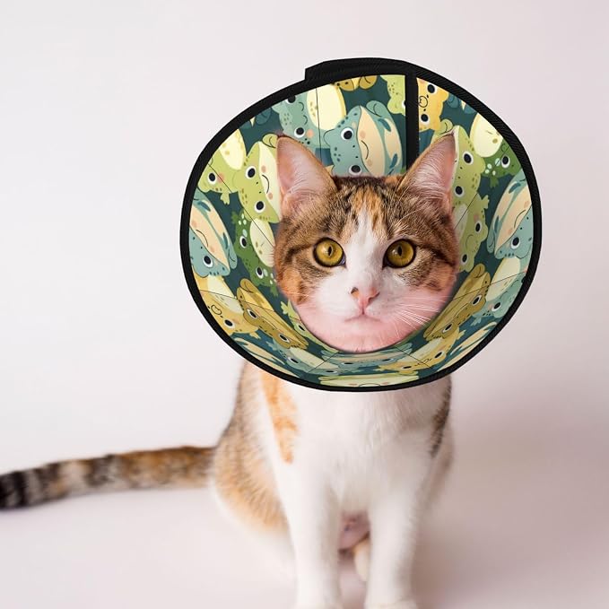 Cute Cartoon Smart Frog for Adjustable Cat Cone Collar