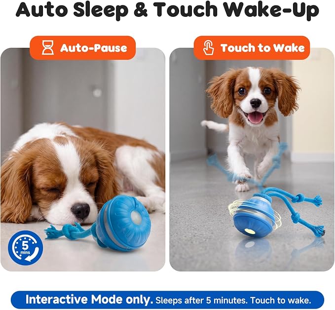 Interactive Small Dog Toys Ball, Smart Automatic Moving Rolling Dogs Toy | Interactive Dog Ball for Small & Medium Dogs, 3 Modes with Bird Chirps&RGB Lights, Bite-Resistant Rope, IP54 Waterproof(Blue)