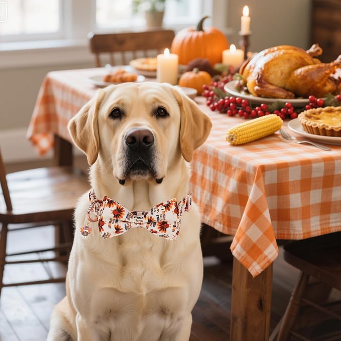 ADOGGYGO Thanksgiving Dog Collars with Bow, Gobble Turkey Pet Collar, L
