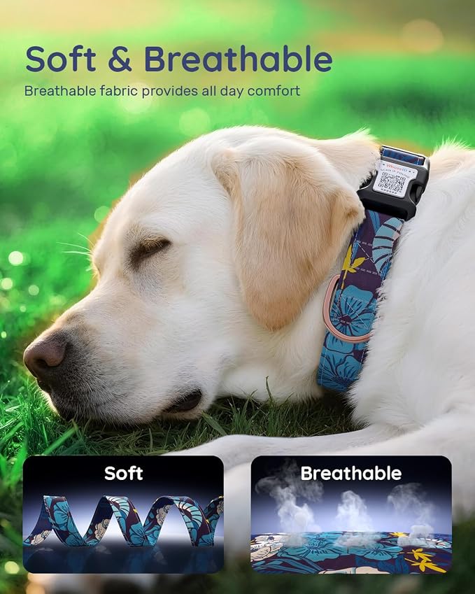Dog Collar for Small Dogs with Smart QR Tags