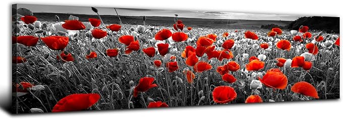Nature Poppy Wall Art Red and Black Wall Decor Wildflower Field Landscape Picture Canvas Prints Sunrise Poppies Floral Painting Botanical Poster Artwork Living Room Bedroom Home Decorations 14x48”