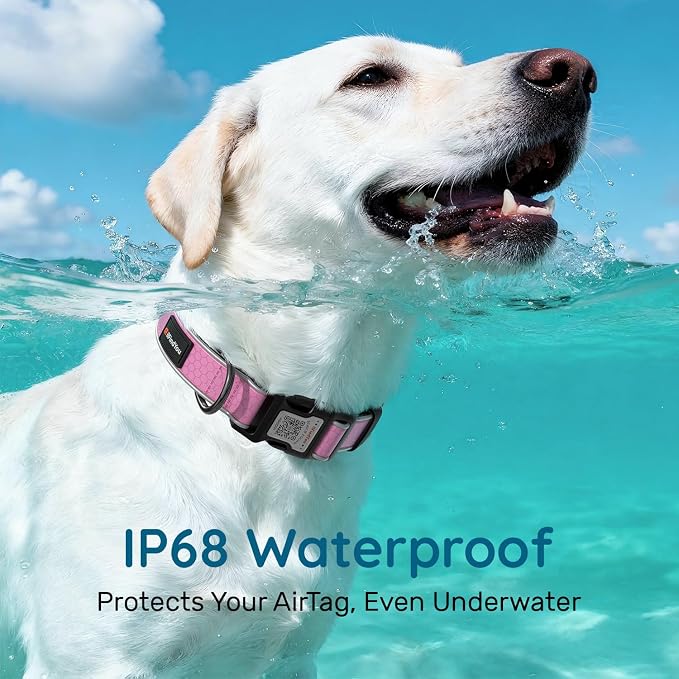 Personalized Dog Collar with QR Code Dog Tag, Oxford Pink L | Anti-lost, Oxford, reflective, padded, XS-L(8"-24"), QR buckle shares lost pet profile, location alerts when scanned, No Fees