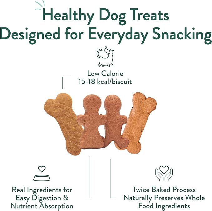 Portland Pet Food Dog Treats Variety, Healthy, Grain-Free Biscuits, 3 Pack | Pumpkin Gingerbread Applemint Human-Grade, Limited Ingredient, Natural Low Calorie Training Treats, Puppy to Senior, USA Made