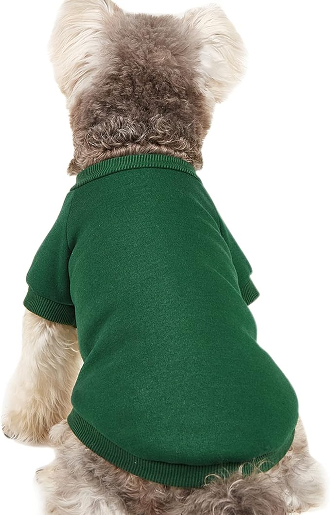 Soft Puppy Sweater for Small Dogs Winter Knit Pullover, Green XXS | Elastic Cuffs Pet Clothes, Holiday Party Matching, Fall Winter Daily Outfit, Soft Breathable Machine Washable Sweatshirt