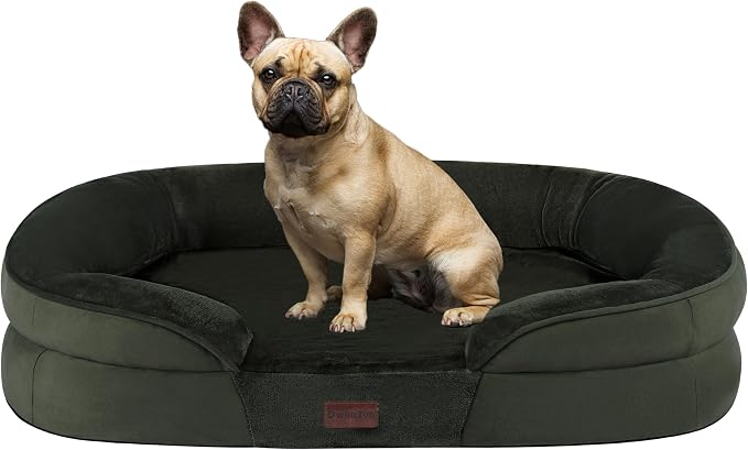 Dwanton Orthopedic Waterproof Medium Dog Bed Sofa, Gel Memory Foam, 28" | Egg-Crate Foam Dog Sofa, Washable Pet Bed with Four Sided Bolster Cushion, Removable Cover & Non-Slip Bottom, Green