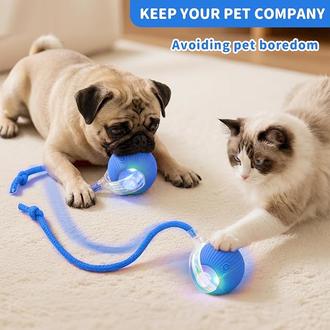 Cat Toys for Indoor Cats Smart Automatic Bal Moving Chase Dogs Toy, Blue | Ball Rolling for Bored Kitten Pet, Upgraded Speedy Moving Chase Dogs Toy
