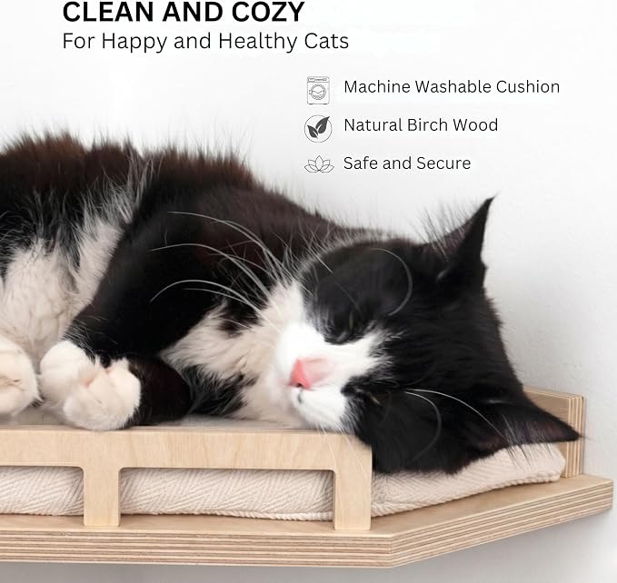 INICIO Cat Wall Shelves - Corner Shelf with Cushion and 3 Cat Wall Steps | Sturdy Cat Shelves for Wall - Stairs & Perch for Indoor Cats up to 15lbs - Natural Birch Wood for Safe Climbing and Playing