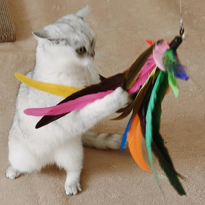 miwoowim 6PCS Cat Wand Toy Refills: 2 Extra-Large & 4 Standard Feathers | Handcrafted Da Bird feathers with bells for allure. Non-toxic, durable, and compatible with most standard teaser wand toys