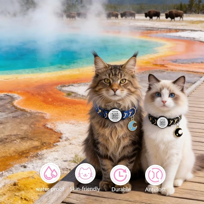 The Ultimate QR Code Pet ID Collar 4-Pack | Breakaway Adjustable Cat Collars with Secure Online Profile | Never Lose Your Cat with Cute Moon & Stars Design (Star & Moons - 4 Pack)