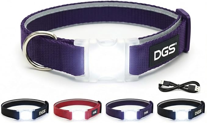 Dog Gone Smart Pet Products Super Bright LED All Day & Night Wear Safety Comet Collar Dogs, Adjustable Breathable Strong Nylon, Puppies, Large, Medium, Small