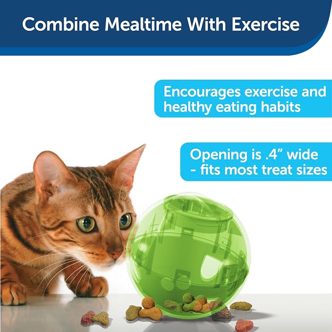 PetSafe Slimcat Feeder Ball Cat Toy, Green | Interactive Puzzle Game for Your Cat, Adjustable Openings Control Portion & Feed Speed, Slows Fast Eaters, Improve Digestion