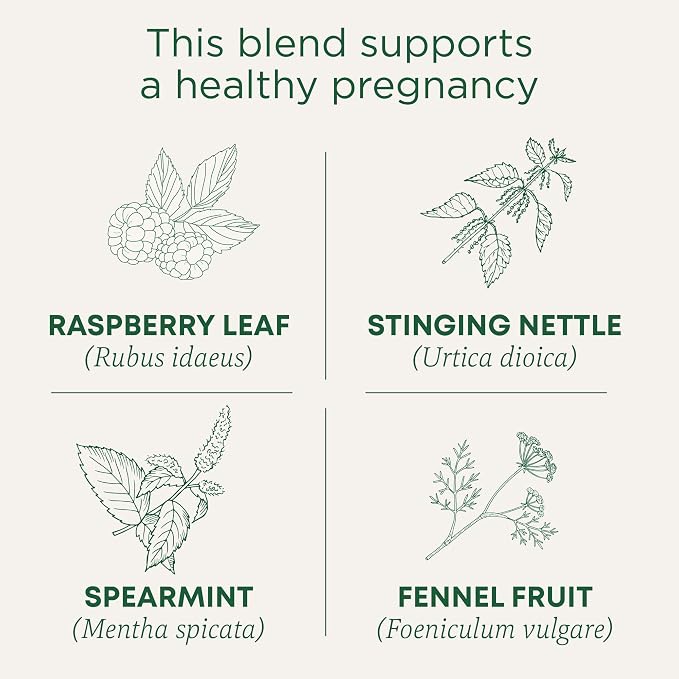 Traditional Medicinals Tea, Organic Pregnancy Tea, Supports a Healthy Pregnancy, Raspberry Leaf and Spearmint, 16 Bags (Pack of 2)