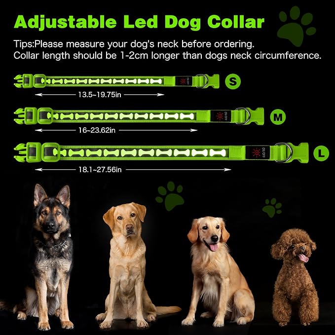 Flashseen LED Dog Collar Light Up USB-C Rechargeable (Green, Medium)