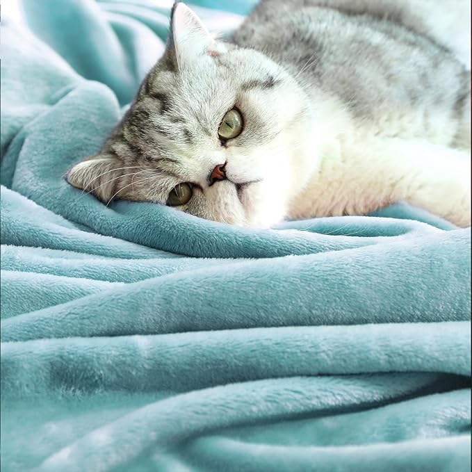 TASTHROW Bluishgreen Throw Blanket 50x60 Inches | Soft Plush Cozy Fleece Flannel Throw Blanket, Lightweight Warm Throws for Bed, Couch, Bedroom and Living Room, All Seasons